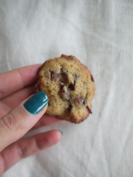Cranberry chocolate and cinnamon cookie