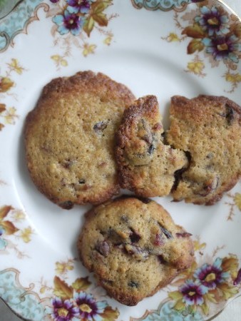 Cranberry chocolate and cinnamon cookie